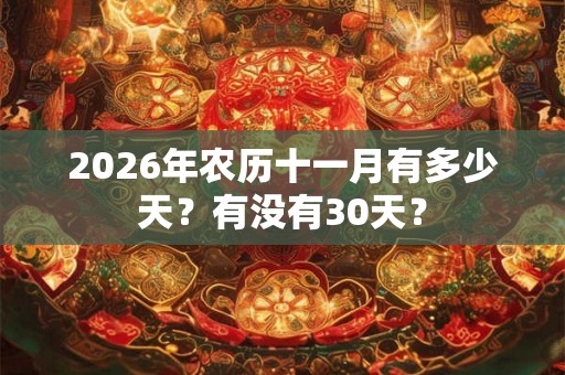 2026年农历十一月有多少天？有没有30天？