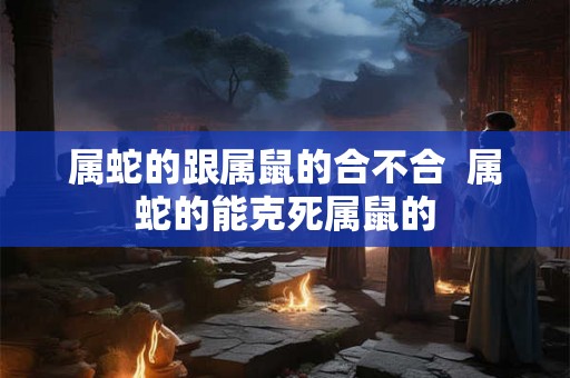 属蛇的跟属鼠的合不合  属蛇的能克死属鼠的