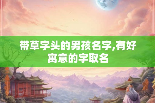 带草字头的男孩名字,有好寓意的字取名