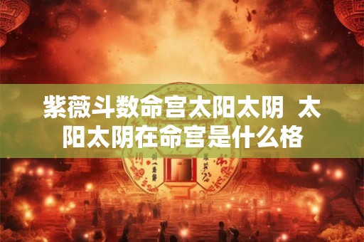 紫薇斗数命宫太阳太阴  太阳太阴在命宫是什么格