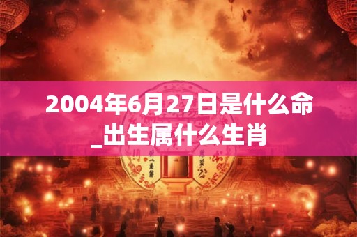 2004年6月27日是什么命_出生属什么生肖