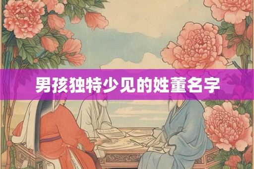 男孩独特少见的姓董名字