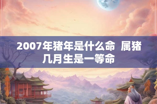 2007年猪年是什么命  属猪几月生是一等命