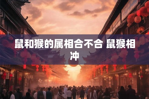 鼠和猴的属相合不合 鼠猴相冲