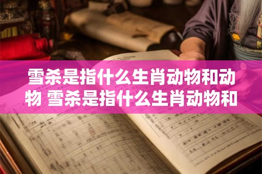 雪杀是指什么生肖动物和动物 雪杀是指什么生肖动物和动物的动物 雪杀是指什么生肖动物和动物 雪杀是指什么生肖动物和动物的动物