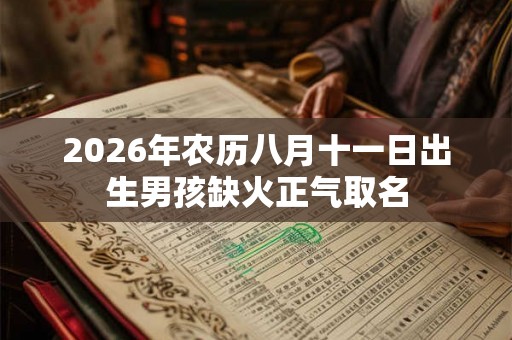 2026年农历八月十一日出生男孩缺火正气取名
