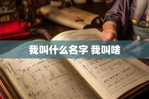 我叫什么名字 我叫啥 我叫什么名字 我叫啥