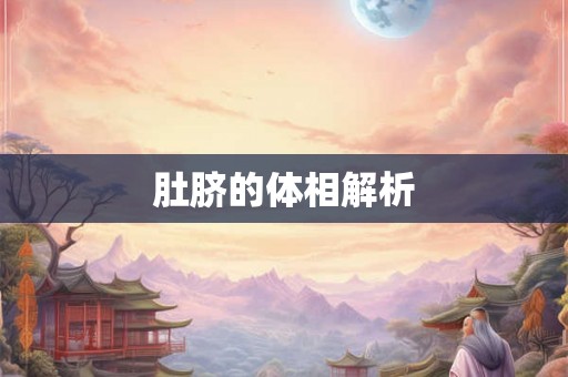 肚脐的体相解析