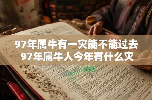 97年属牛有一灾能不能过去 97年属牛人今年有什么灾难