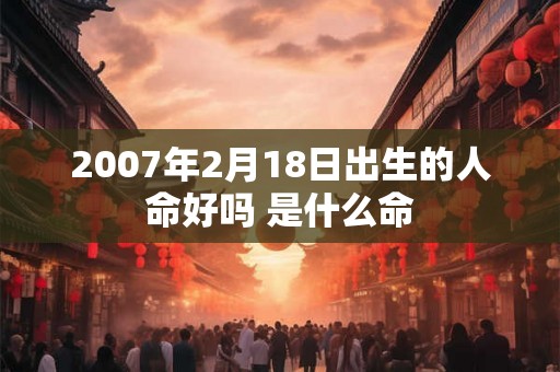 2007年2月18日出生的人命好吗 是什么命