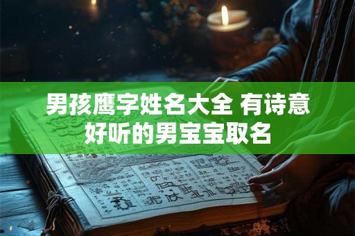 男孩鹰字姓名大全 有诗意好听的男宝宝取名