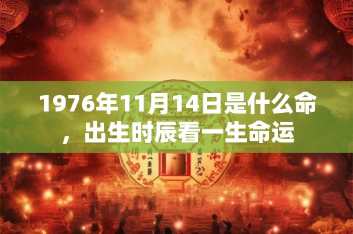 1976年11月14日是什么命，出生时辰看一生命运