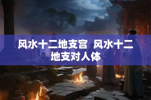 风水十二地支宫  风水十二地支对人体