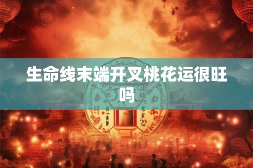生命线末端开叉桃花运很旺吗