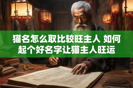 猫名怎么取比较旺主人 如何起个好名字让猫主人旺运