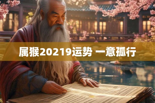 属猴20219运势 一意孤行