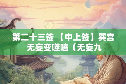 第二十三签 【中上签】巽宫 无妄变噬嗑（无妄九