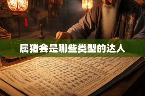 属猪会是哪些类型的达人