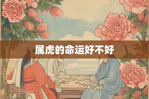 属虎的命运好不好 属虎的命运好不好