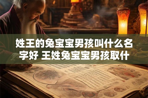 姓王的兔宝宝男孩叫什么名字好 王姓兔宝宝男孩取什么名字比较好