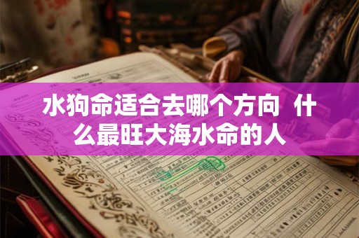 水狗命适合去哪个方向  什么最旺大海水命的人