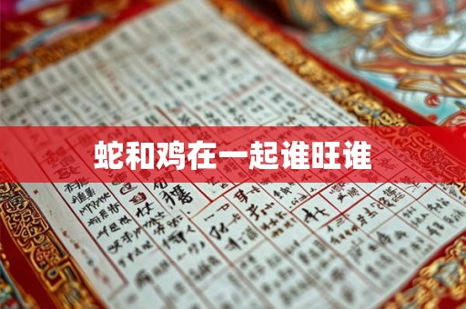 蛇和鸡在一起谁旺谁