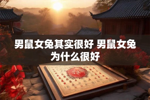 男鼠女兔其实很好 男鼠女兔为什么很好