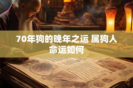 70年狗的晚年之运 属狗人命运如何 70年狗的晚年之运 属狗人命运如何