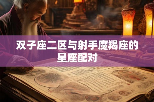 双子座二区与射手魔羯座的星座配对