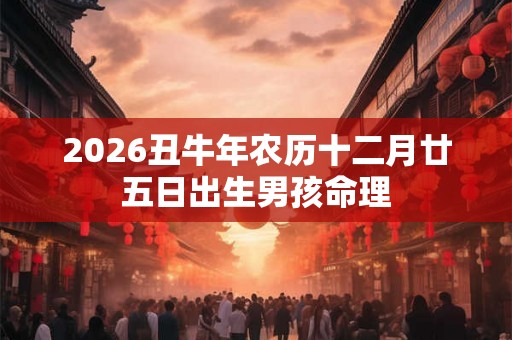 2026丑牛年农历十二月廿五日出生男孩命理