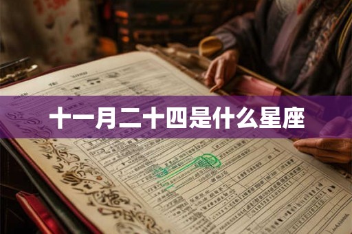 十一月二十四是什么星座