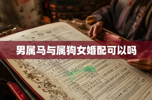 男属马与属狗女婚配可以吗