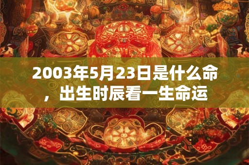 2003年5月23日是什么命,出生时辰看一生命运 2003年5月23日是什么命,出生时辰看一生命运