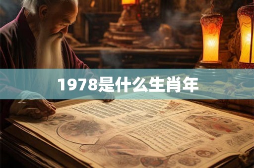 1978是什么生肖年