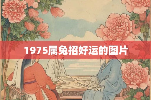 1975属兔招好运的图片