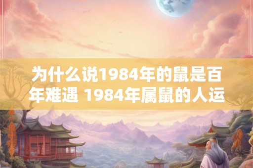 为什么说1984年的鼠是百年难遇 1984年属鼠的人运气怎么样