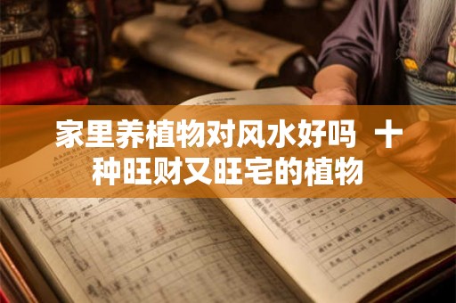 家里养植物对风水好吗 十种旺财又旺宅的植物 家里养植物对风水好吗 十种旺财又旺宅的植物