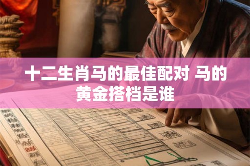 十二生肖马的最佳配对 马的黄金搭档是谁
