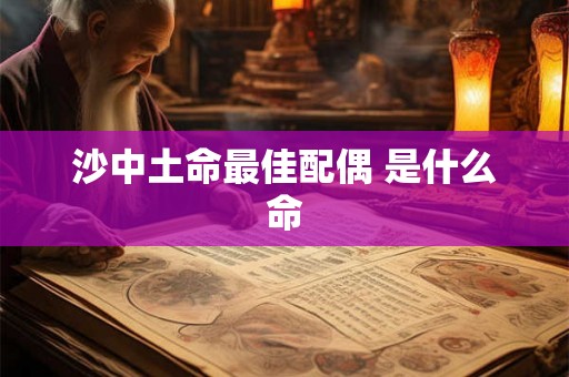 沙中土命最佳配偶 是什么命