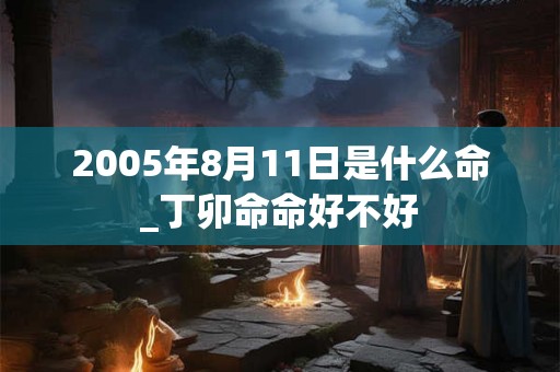 2005年8月11日是什么命_丁卯命命好不好