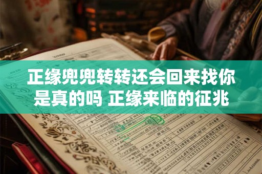 正缘兜兜转转还会回来找你是真的吗 正缘来临的征兆 正缘兜兜转转还会回来找你是真的吗 正缘来临的征兆