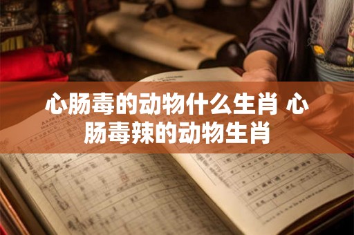 心肠毒的动物什么生肖 心肠毒辣的动物生肖