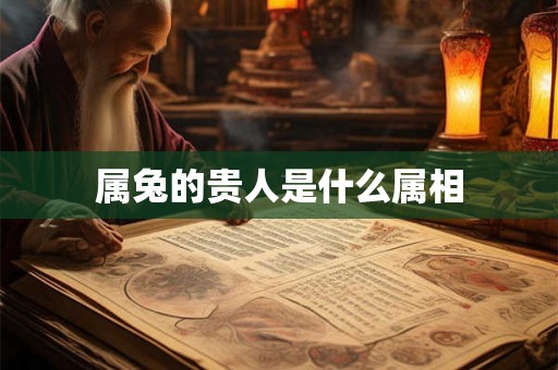 属兔的贵人是什么属相