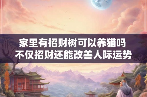 家里有招财树可以养猫吗 不仅招财还能改善人际运势