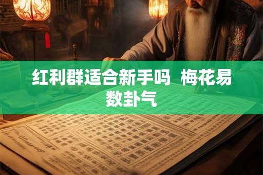 红利群适合新手吗  梅花易数卦气
