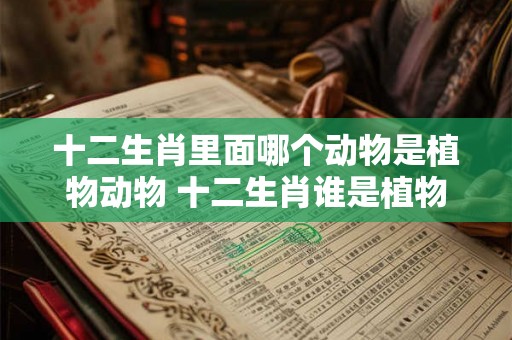十二生肖里面哪个动物是植物动物 十二生肖谁是植物