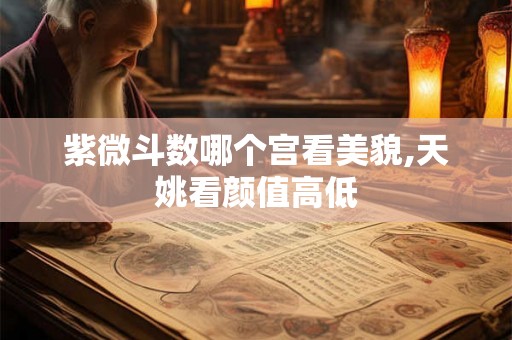 紫微斗数哪个宫看美貌,天姚看颜值高低