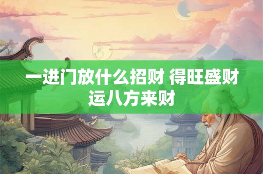 一进门放什么招财 得旺盛财运八方来财