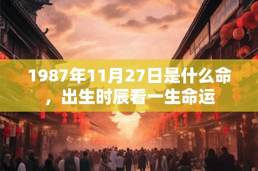 1987年11月27日是什么命，出生时辰看一生命运