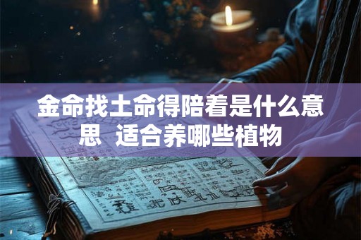 金命找土命得陪着是什么意思  适合养哪些植物